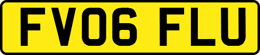 FV06FLU
