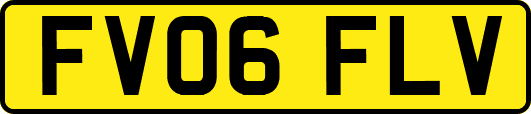 FV06FLV