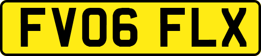 FV06FLX