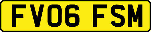 FV06FSM