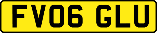 FV06GLU