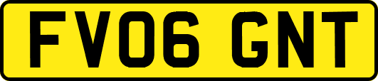 FV06GNT