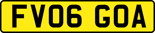 FV06GOA