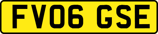FV06GSE