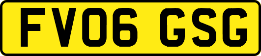 FV06GSG