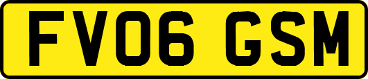 FV06GSM