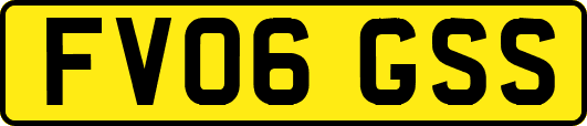 FV06GSS