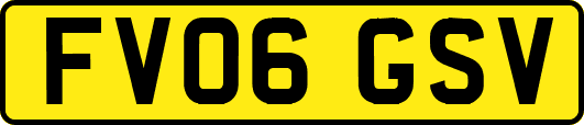 FV06GSV