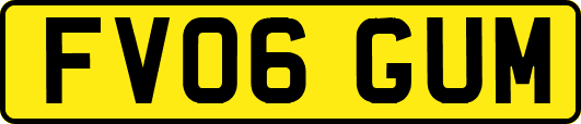FV06GUM
