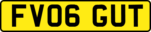 FV06GUT