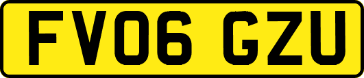 FV06GZU