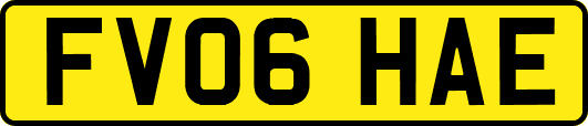 FV06HAE