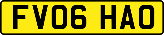 FV06HAO