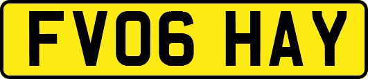 FV06HAY