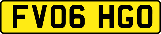 FV06HGO