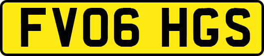 FV06HGS