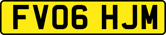 FV06HJM