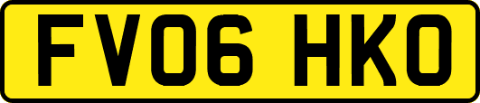 FV06HKO