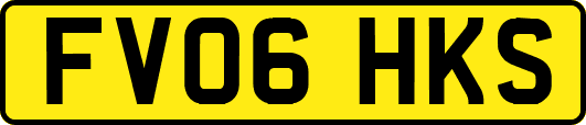 FV06HKS