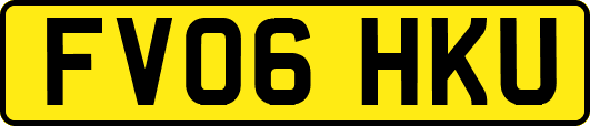 FV06HKU