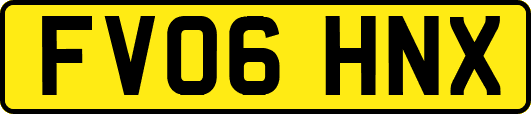 FV06HNX