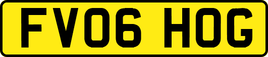 FV06HOG