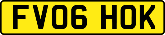 FV06HOK