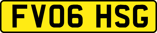 FV06HSG