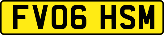FV06HSM