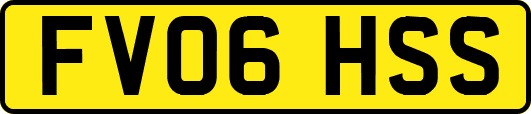 FV06HSS