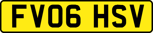 FV06HSV