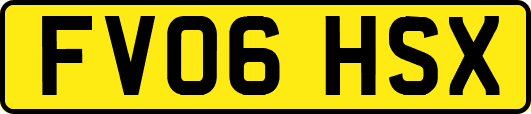 FV06HSX