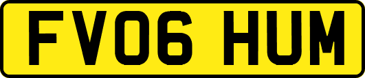 FV06HUM
