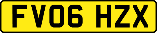 FV06HZX