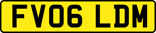 FV06LDM