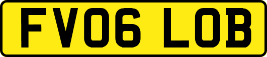 FV06LOB