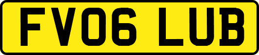 FV06LUB