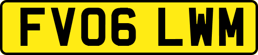 FV06LWM