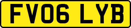 FV06LYB