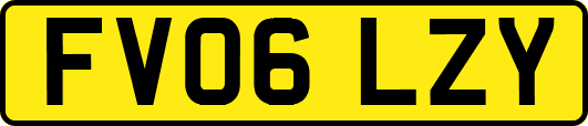 FV06LZY