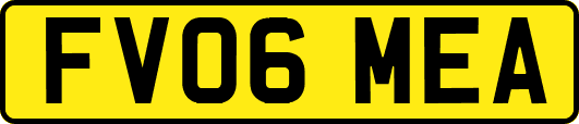 FV06MEA
