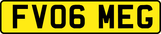 FV06MEG