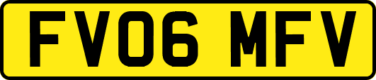 FV06MFV