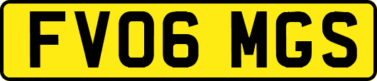 FV06MGS