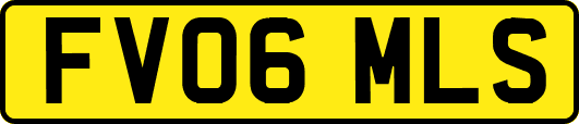 FV06MLS