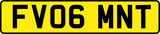 FV06MNT
