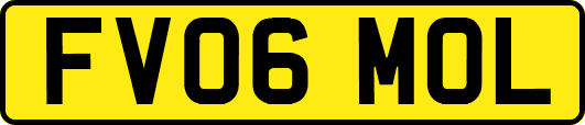 FV06MOL