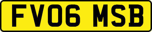 FV06MSB