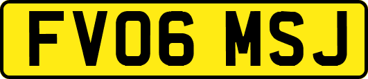 FV06MSJ