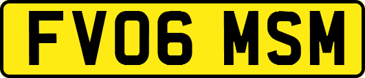 FV06MSM
